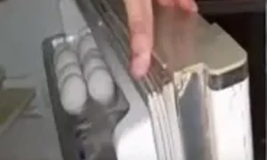 فریج کا ربڑ ڈھیلا ہوجائے تو اسے چٹکی بجاتے ٹھیک کریں