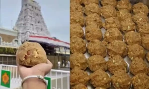 رام مندر کے افتتاح میں بھی سور اور گائے کی چربی والے لڈو بانٹے گئے، پجاری کا انکشاف