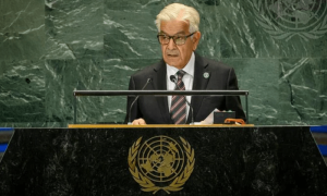 Global stability impossible until issues like Palestine resolved, Asif says in New York