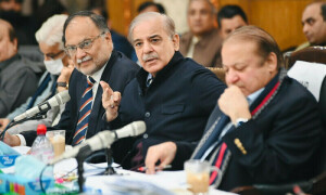 ن لیگ نے مخصوص نشستوں کے معاملے کو پارلیمنٹ میں لے جانے کا عندیہ دے دیا
