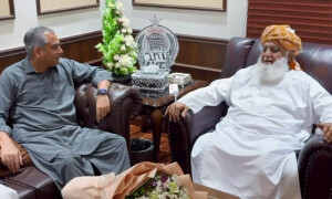 محسن نقوی کی مولانا فضل الرحمان سے ملاقات، جے یوآئی کا امیرمنتخب ہونے پر مبارکباد