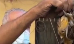 اسرائیل کی بمباری میں لبنان کے &rsquo;خطرناک ہتھیار&lsquo; تباہ، شہری نے ویڈیو جاری کردی
