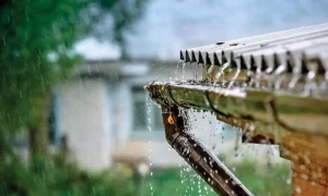 بارش کا پانی محفوظ کرنے کا مؤثر طریقہ &rsquo;پانی چوس کنواں&lsquo; کیا ہے؟