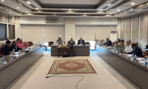 آئینی ترامیم پر حکومتی جماعتوں میں اتفاق، جے یو آئی کا ساتھ دینے سے انکار