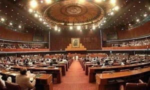 National Assembly: Numbers game for constitutional amendment revealed