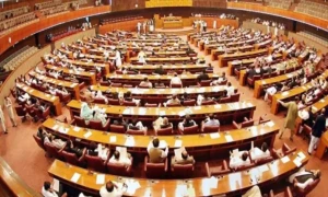 Constitutional amendment: Cabinet meeting delayed again