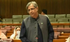 26ویں آئینی ترمیم دو تہائی اکثریت سے سینیٹ میں منظور، پی ٹی آئی کا کوئی رکن منحرف نہیں ہوا