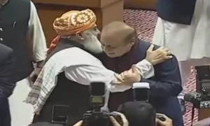 After Senate, constitutional amendment passed in NA with two-thirds majority