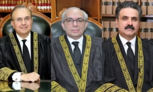 Special Parliamentary Committee formed for next CJP&rsquo;s appointment
