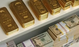 کراچی: گھریلو ملازمہ لاکھوں روپے، ہزاروں ڈالر اور سونا لے اُڑی