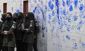 &lsquo;Fake news&rsquo; of Pakistan rape ignites real protest movement