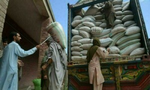 ای سی سی نے پاسکو ذخائر سے صوبوں کو گندم کی فراہمی کی منظوری دے دی