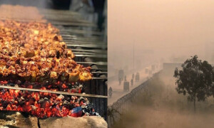 ریسٹورنٹس میں اوپن باربی کیو بھی اسموگ کی بڑی وجہ، ایس او پیز مزید سخت