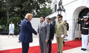 PTI distances itself from Bukhari&rsquo;s decision to meet Trump family
