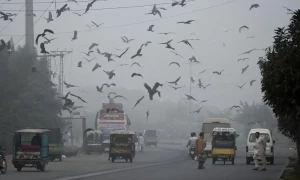 اسموگ کے تدارک کا ذمہ دار ادارہ غیر فعال، محکمہ ماحولیات کی کئی گاڑیوں ناکارہ
