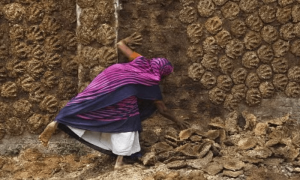 چوری کیے گئے 20 لاکھ روپے گائے کے گوبر سے برآمد