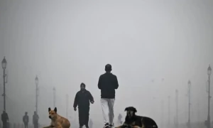 India&rsquo;s capital Delhi shuts schools as &lsquo;death trap&rsquo; smog chokes city