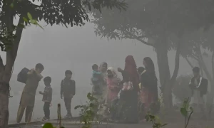 ماحولیاتی آلودگی انسانی زندگیوں کے لئے خطرناک