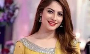 نیلم منیر جلد شدی کے بندھن میں بندھنے جارہی ہیں، دولہا کون؟