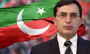 ہم نے کبھی 100، 200 ہلاکتوں کے دعوؤں کو اون نہیں کیا، بیرسٹرگوہر