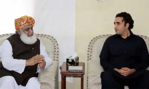 بلاول کی فضل الرحمان سے ملاقات، مدارس رجسٹریشن بل پر صدر کے دستخط نہ ہونے پر تشویش کا اظہار