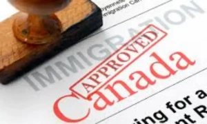 فیکٹ چیک : کینیڈا نے امیگریشن بند نہیں کی، کم تارکینِ وطن قبول کیے جارہے ہیں