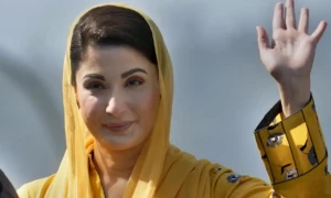 پنجاب میں سولر پینل اسکیم کا افتتاح، کتنے صارفین کو مفت ملیں گے؟