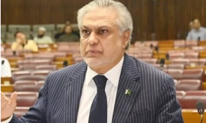 یلغار کرنے سے مسائل حل نہیں ہوتے، سینیٹر اسحاق ڈار