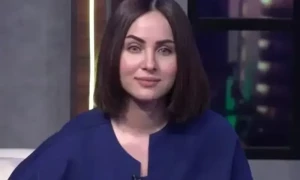نمرہ خان کی سوشل میڈیا پر منافقت دکھانے والوں کی تائید