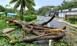 Magnitude 7.4 earthquake strikes Port Vila, Vanuatu