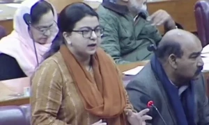 قومی سلامتی سے بڑھ کر کچھ نہیں، ایکس کو وزارت داخلہ کی ہدایت پر بند کیا، وزیر آئی ٹی