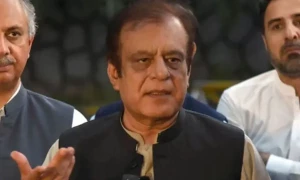 شبلی فراز سینیٹ میں اپنے عہدے سے مستعفی؟