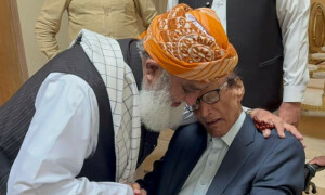 چوہدری شجاعت نے مدرسہ بل پر مولانا فضل الرحمان کے کردار کو سراہا