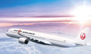 Japan airlines faces flight delays due to cyberattack
