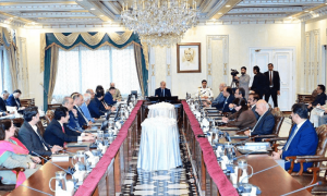 وفاقی کابینہ نے 2 صدارتی آرڈیننس کی منظوری دے دی