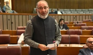 جماعت اسلامی نہیں چھوڑی، سینیٹر مشتاق احمد نے تردید کردی