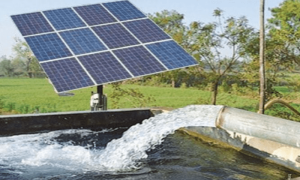 پنجاب کی ٹیوب ویل سولرائزیشن اسکیم کیلئے اپلائی کیسے کریں؟
