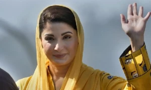مریم نواز نے دیہی خواتین کو مفت گائے، بھینسیں دینے کا اعلان کردیا