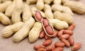 مونگ پھلی کھانے کے بعد یہ 5 چیزیں بھول کر بھی نہ کھائیں