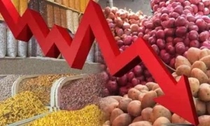 حکومت کا مہنگائی کی شرح 81 ماہ کی کم ترین سطح پر آنے کا دعویٰ