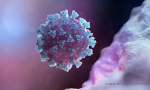 Outbreak of Human Metapneumovirus (HMPV) in China raises concerns