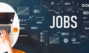 2025 میں کن نوکریوں کی سب سے زیادہ ڈیمانڈ ہوگی؟