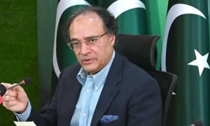 حکومت نے اخراجات میں کمی کے لیے اداروں اور وزارتوں سے ڈیڑھ لاکھ نوکریاں ختم کردیں، وزیر خزانہ