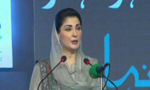 دشمن کی حکومت ہو تب بھی نہیں کہوں گی باہر نکلو اور آگ لگادو، مریم نواز