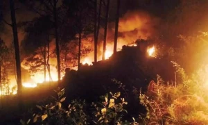 مری سے ملحقہ تین جنگلات شدید آگ کی لپیٹ میں، شعلے میلوں دور سے دکھائی دینے لگے