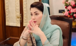 پنجاب کی &rsquo;آسان کاروبار قرض اسکیم&lsquo; میں کیسے اپلائی کریں؟ طریقہ جانئے