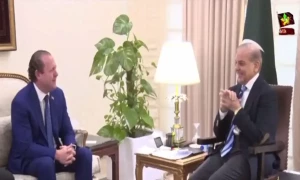 وزیراعظم شہبازشریف سے بین الاقوامی سرمایہ کاروں کے وفد نے ملاقات