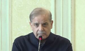 وزیراعظم کی پی ٹی آئی کو ایک بار پھر مذاکرات کی دعوت، پارلیمانی کمیٹی بنانے کی پیشکش