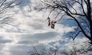 Indian police seize PTI flags and balloons that drifted in IIOJK