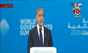 Shehbaz calls for independent Palestinian state with pre-1967 borders